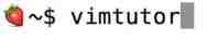 vimtutor